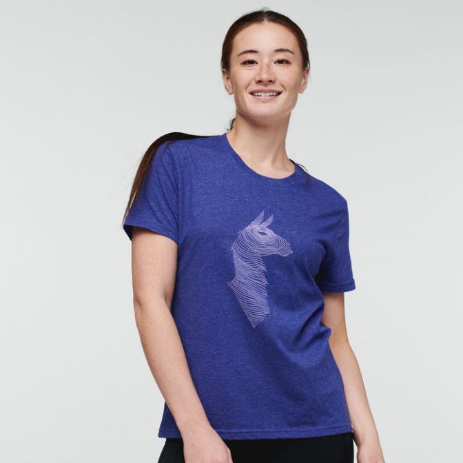 Cotopaxi Brands Topo Lama T-shirt Dames Blauw Violet