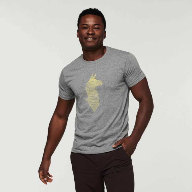 Grijs Gespikkeld Cotopaxi Topo Lama T-shirt Heren Nieuw